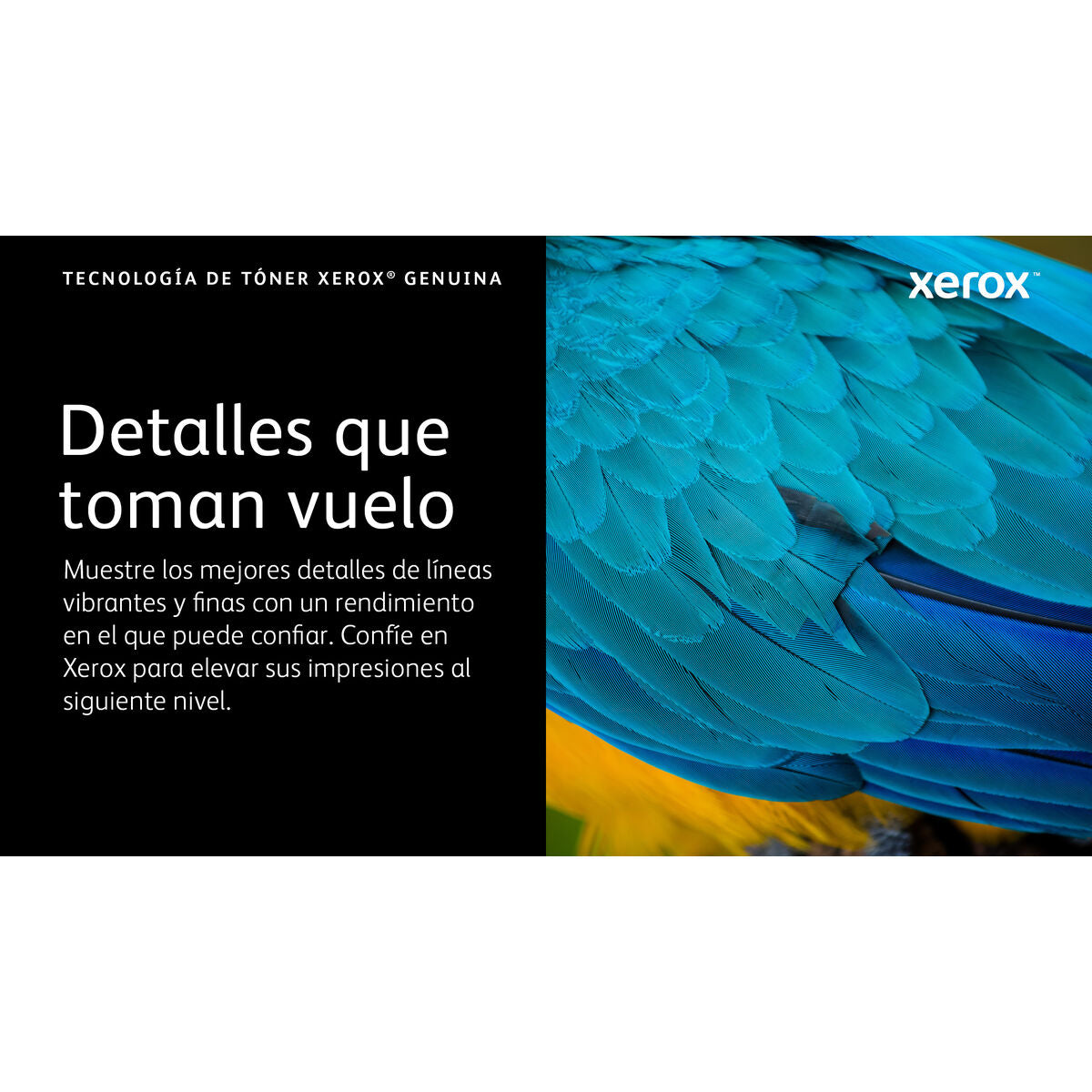 V2H286A0197FA887D37197177FF1AAB46F5R7616305P3