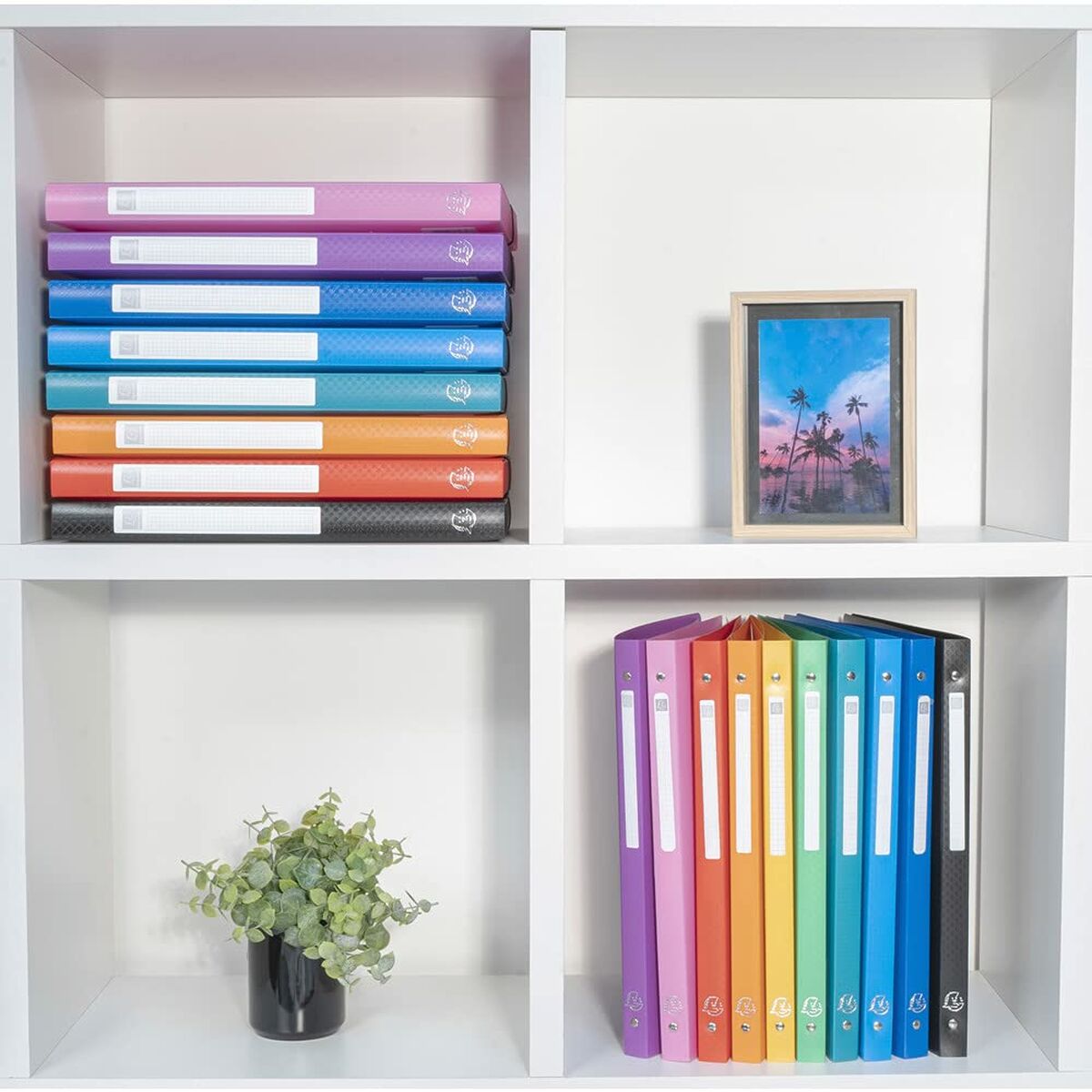 V5HAB22DF96069B613996D5415D503E09A3R6193671P5