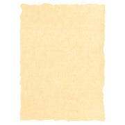 V8H9A41D4A29AFA225E24214F69C6D050DFR4220503P1