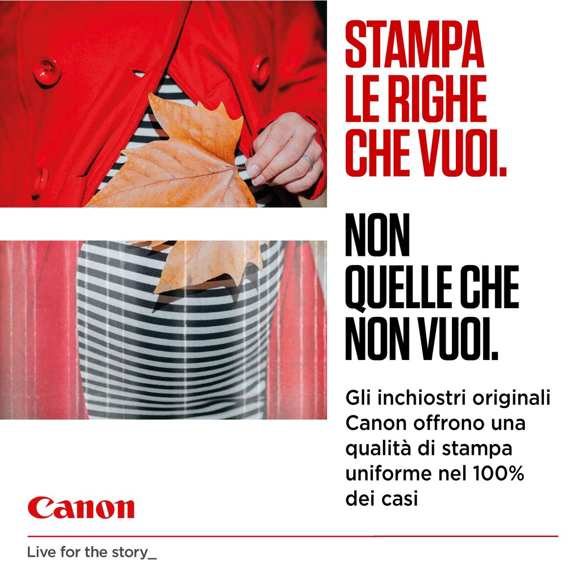 V4HC8C0BD7CCAEFCBD20BBE6C98DC10CD02R7427958P8