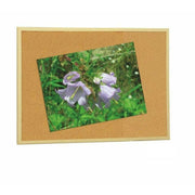 V8HC70F82C63D43B3EDF4C911BFF0CCCF21R2383935P1